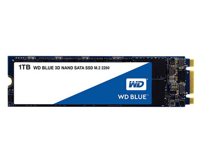 WD Blue M.2 SATA SSD 1TB